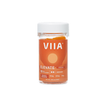 Elevate Focus Gummies - 10mg